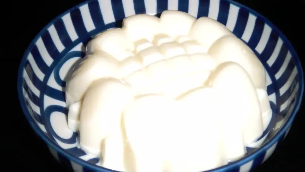Tender coconut Pudding For Home Cooks - Tender Cocount Pudding 1