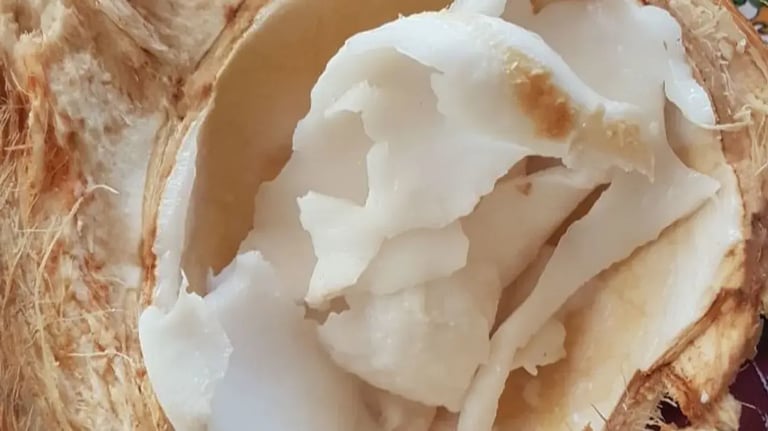 Tender coconut Pudding For Home Cooks  - Feature