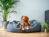 Three Delish Dessert Recipes You Can Share With Your Dog_ Banana Pudding, Carrot Peanut Butter Muffins, and More