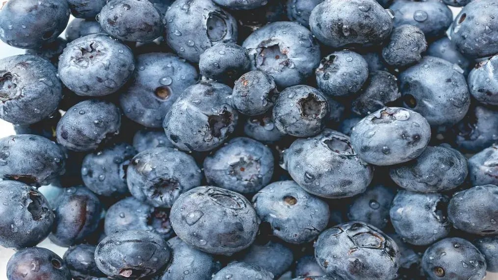 Rinsing Your Blueberries