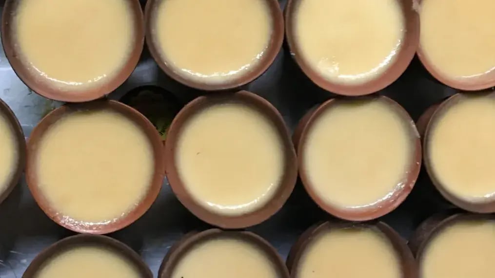 Mishti Doi
