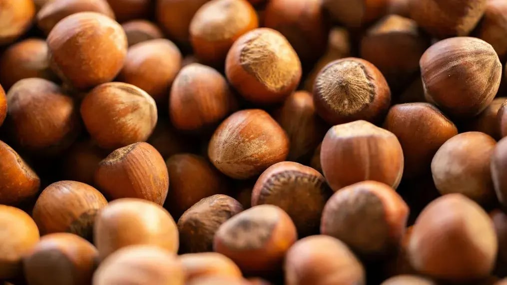 Hazelnuts