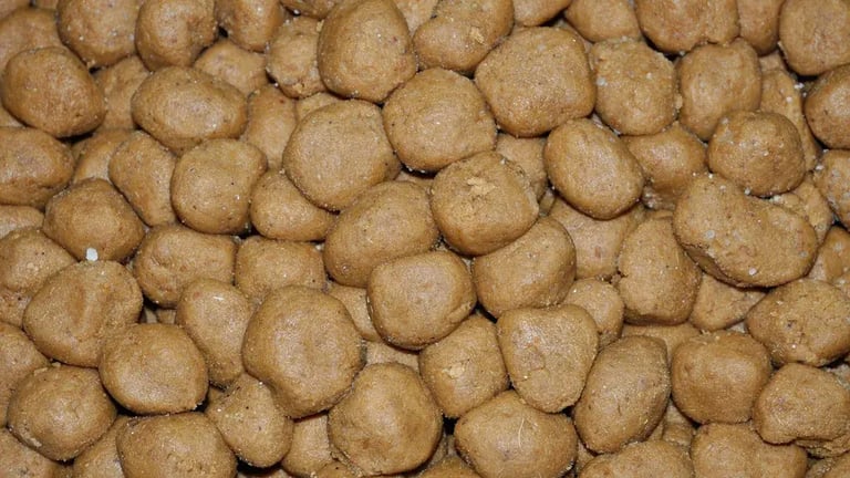 Chocolate Peda