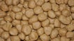 Traditional Homemade Chocolate Peda Recipe