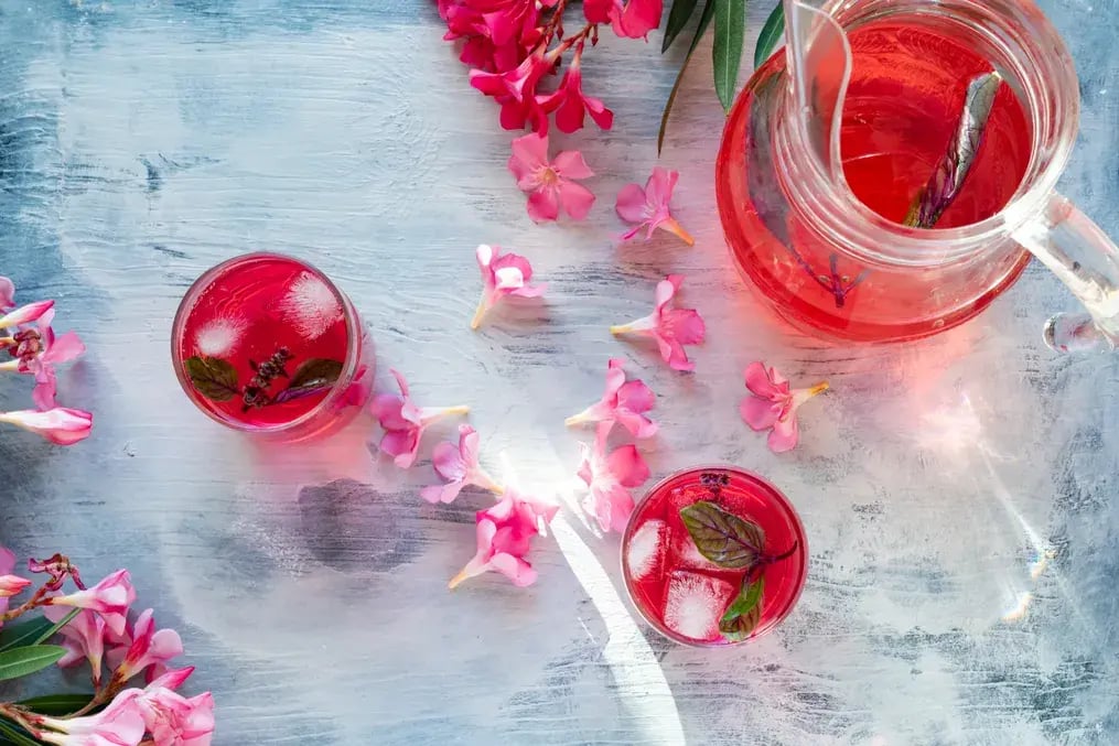 Rooh Afza Watermelon Slushie