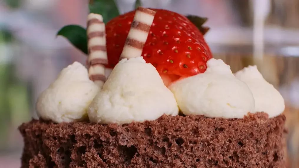 Chocolate Sponge Cake