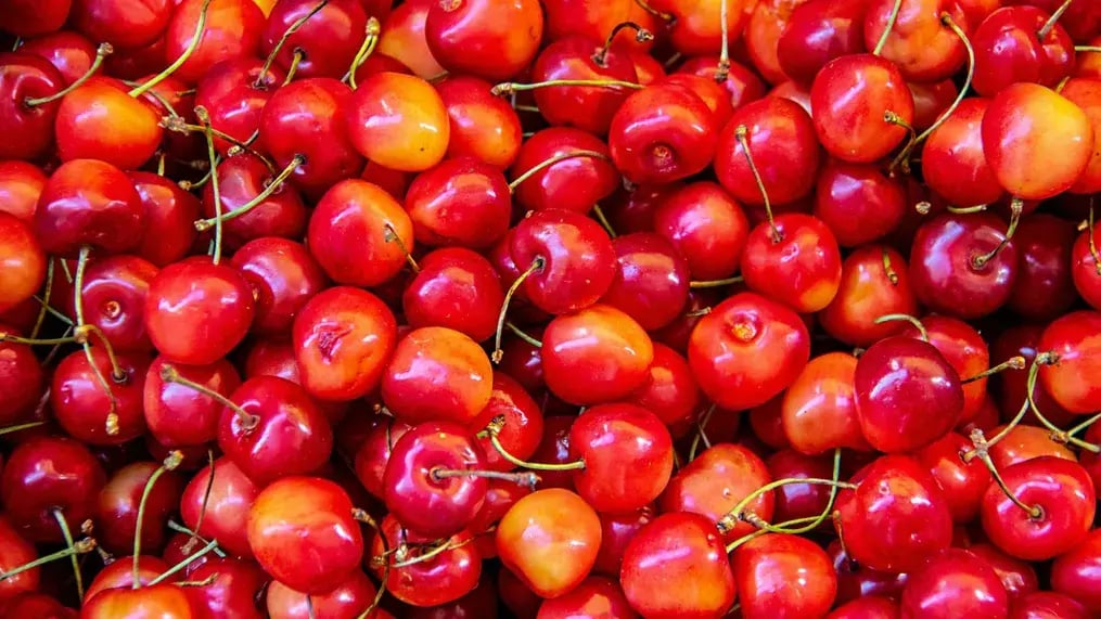 Cherry