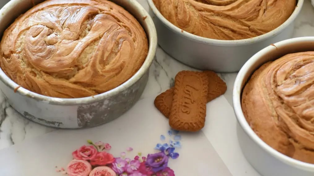 Cake Not Rising Reasons