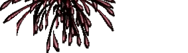 Spark