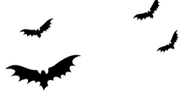 Bat