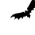 Bat