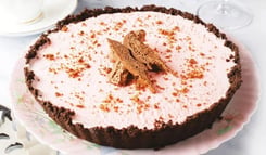 Bubbly Oreo Strawberry Ice Cream Pie