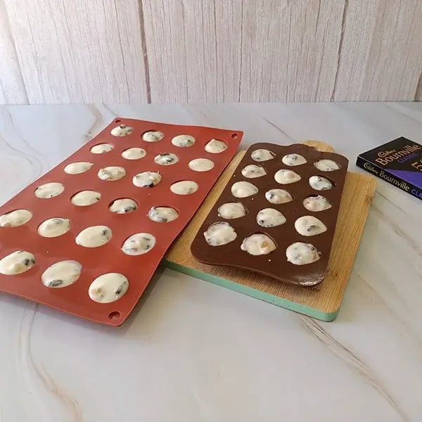 Dark Chocolate Raisin Yogurt Bites - Mixture into any mold shape