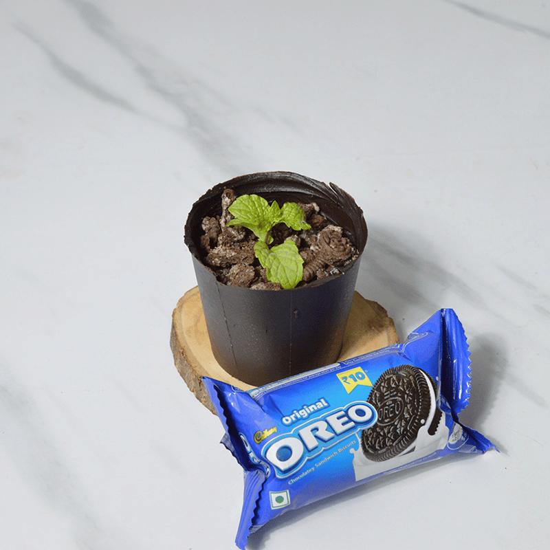 Oeo Chocolate Pot  Recipe