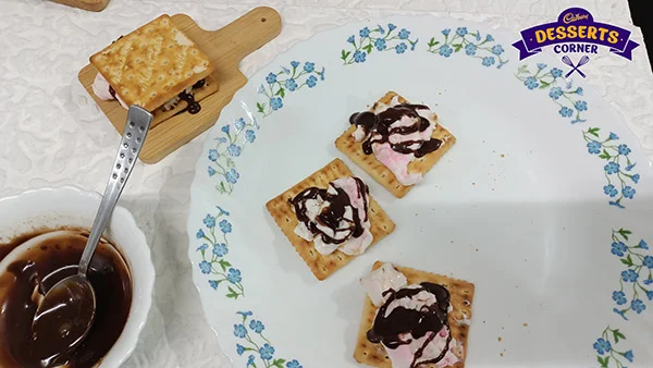Chocolate Smores Recipe - Toasted Golden Marshmallows