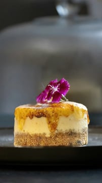 Beginner-Friendly No-Bake Vegan Cheesecake Recipes