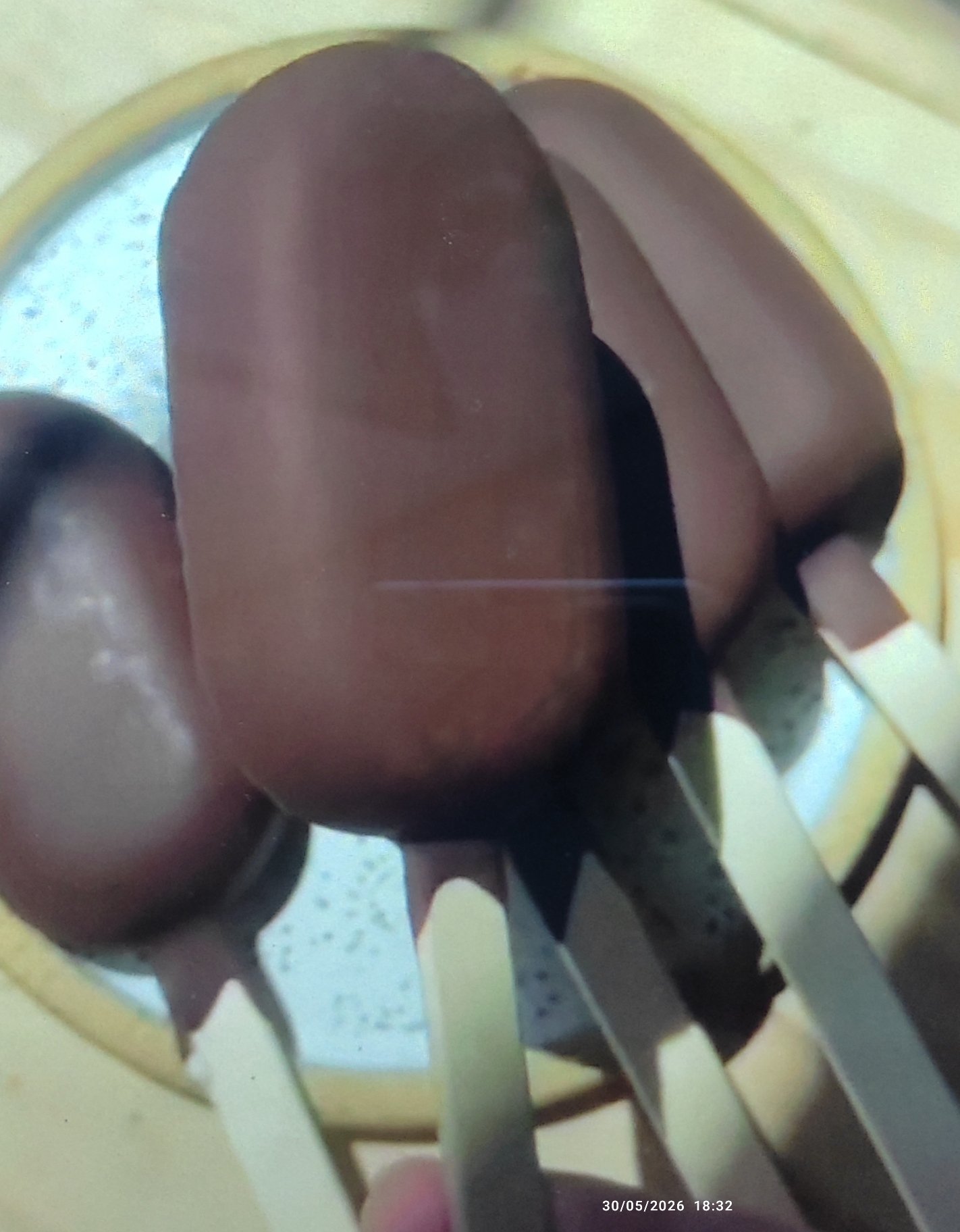 pistachio-chocolate-ice-cream-recipe-image