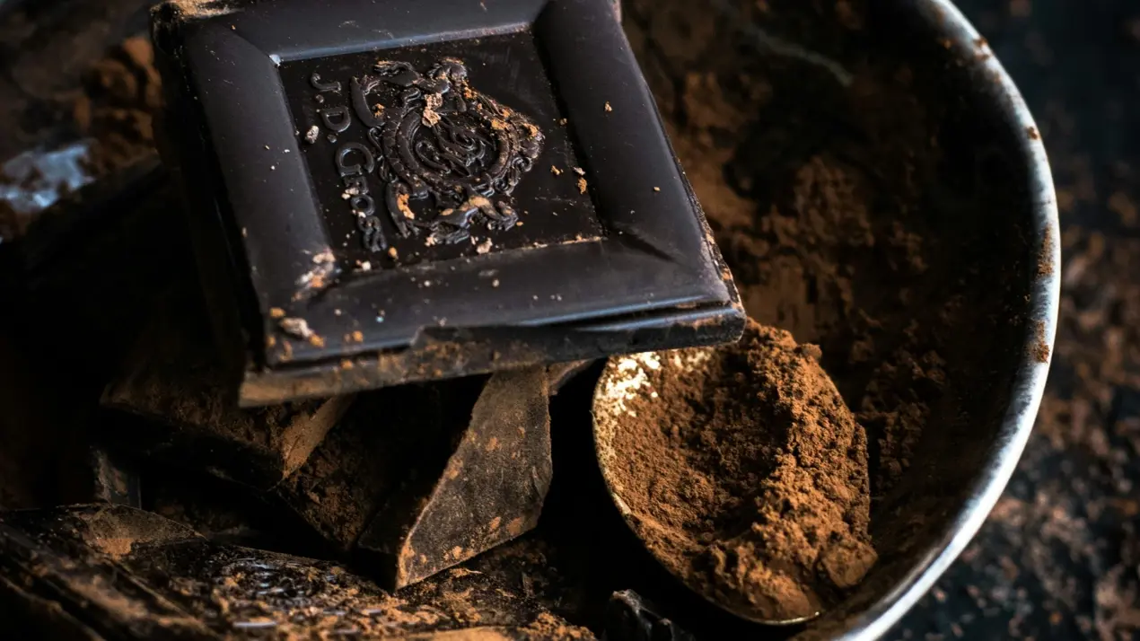 Cocoa Powder Vs Dark Chocolate Bars: 5 Major Differences While Baking Winter Treats