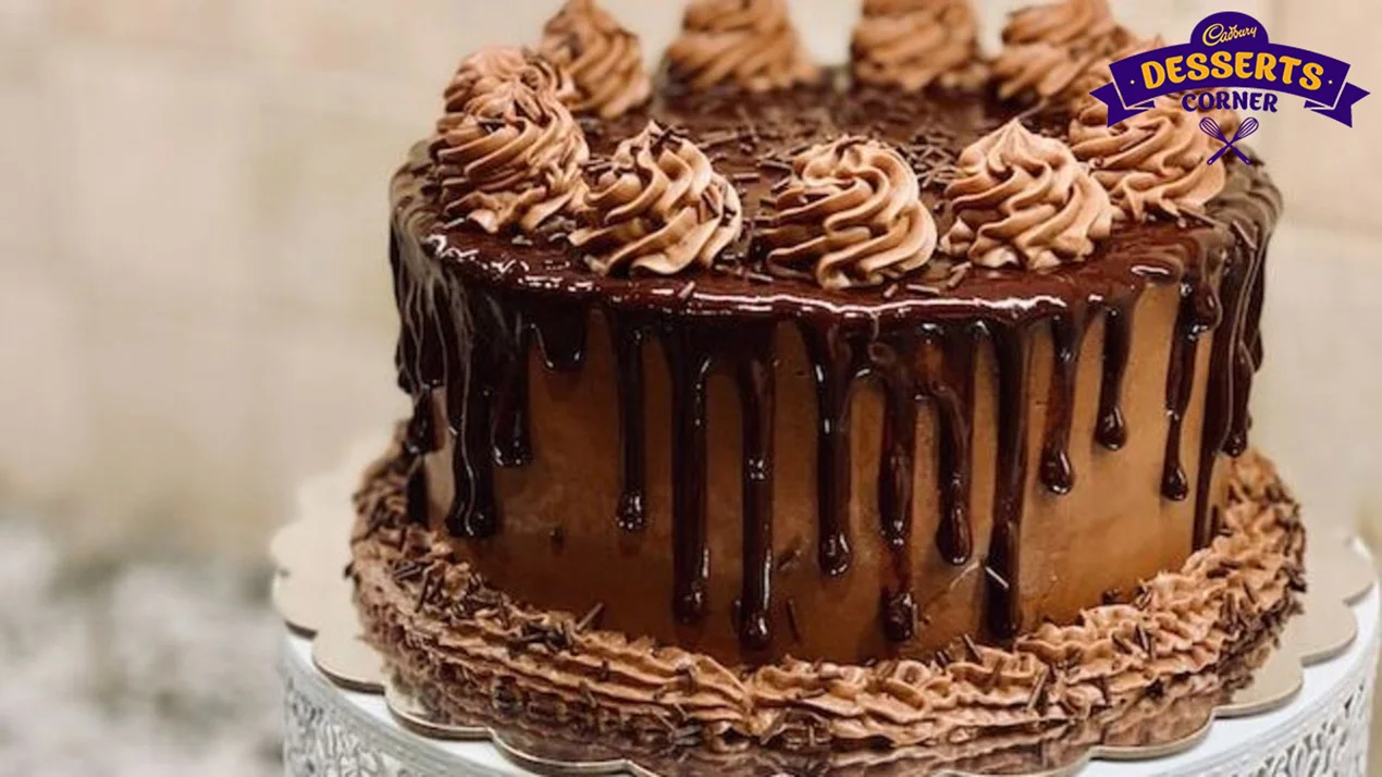 Chocolate Cake A Beginner’s Guide To Master This Classic Dessert