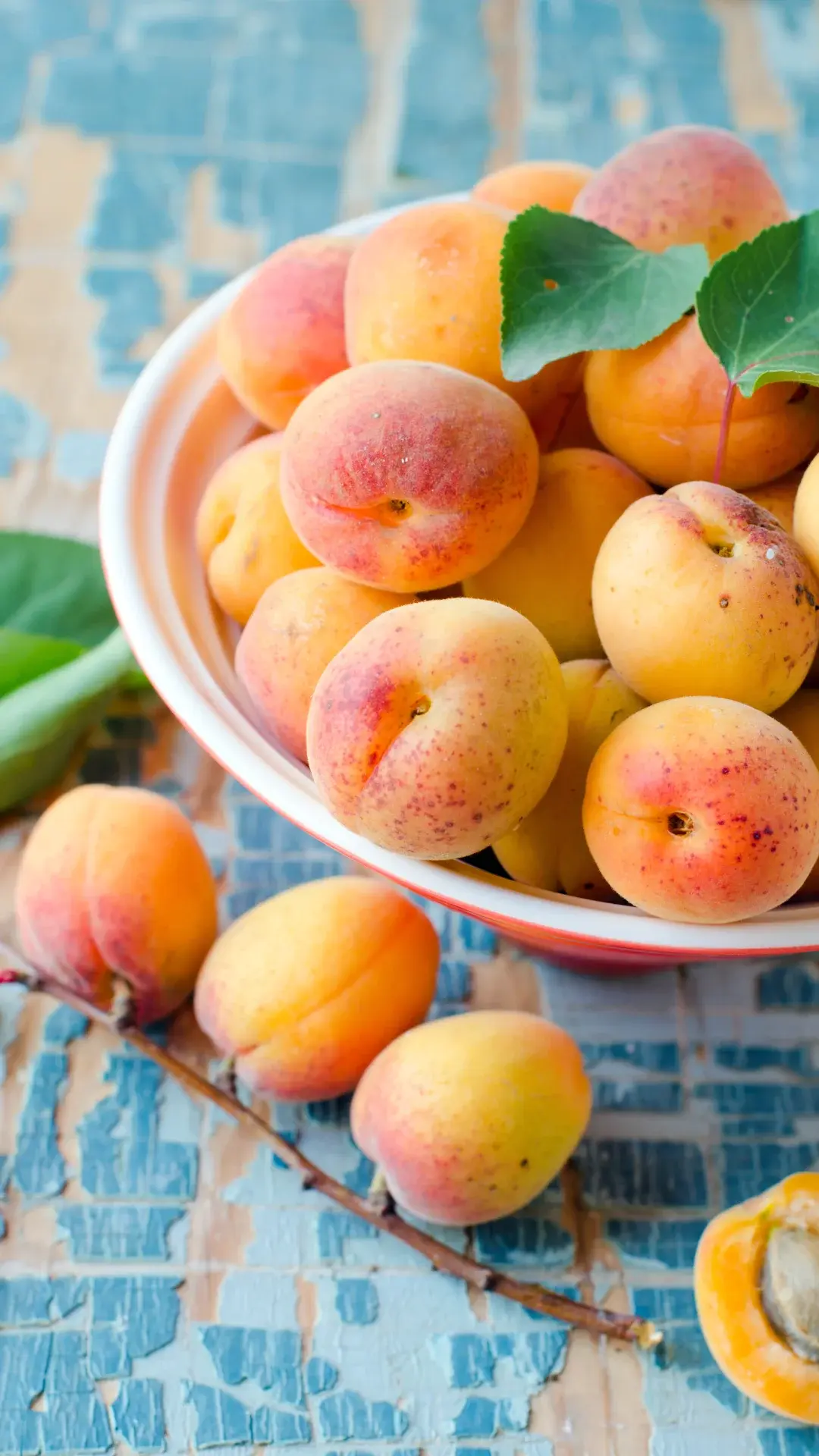 Peach vs apricot top differences between the two fruits